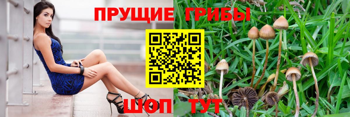 Псилоцибиновые грибы Magic Shrooms Вольск