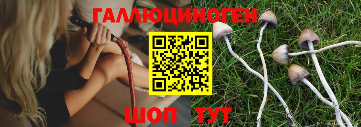 Галлюциногенные грибы Magic Shrooms  Вход с VPN  Вольск 